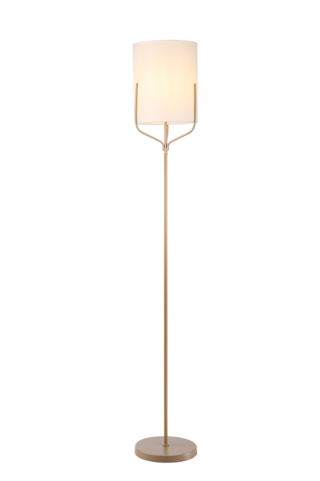 V11859-1F Moderli