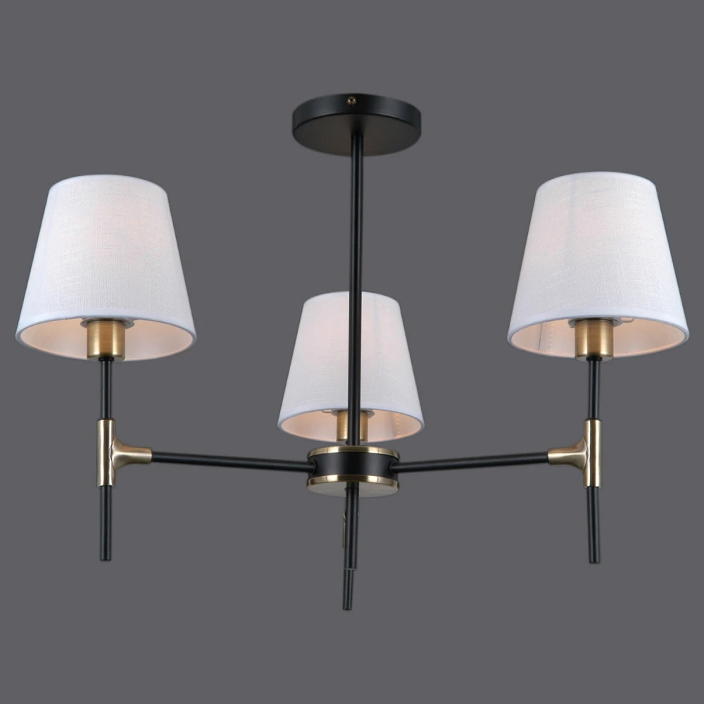 IL0185-3CSQ-24 BK AB CASTOR ILLUMICO