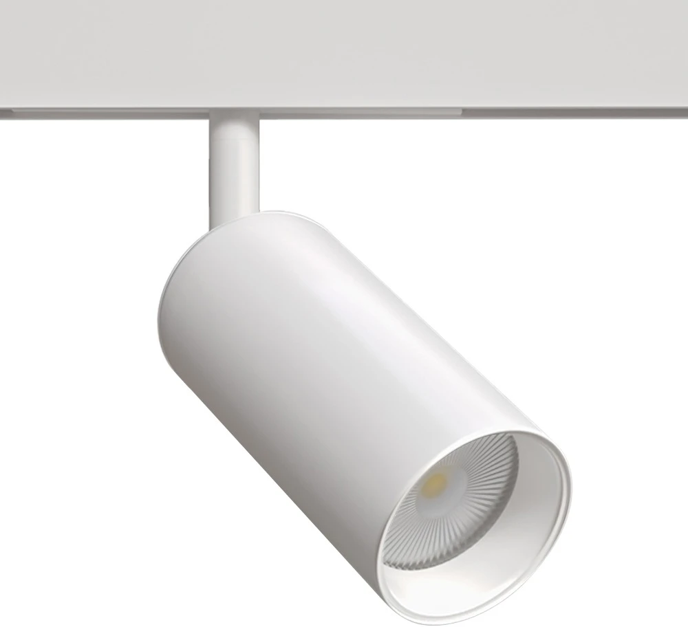 A4691PL-1WH Arte Lamp