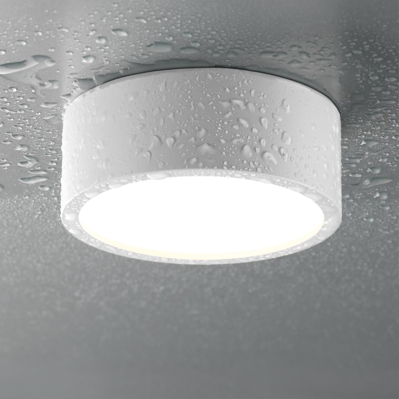 358903 Novotech