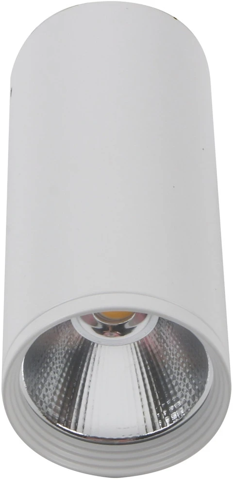 08570-12,01 Kink Light