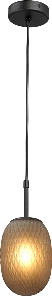 V28211-1/1S Vitaluce