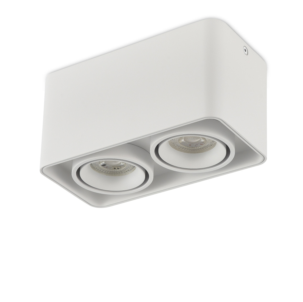 DL18611Q2W Donolux