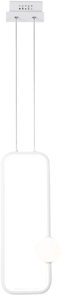 FL66361 Ambrella