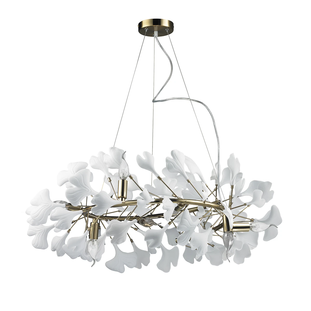 10881P/R800 gold/white Delight Collection