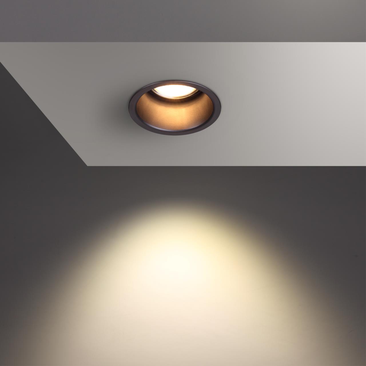 370445 Novotech