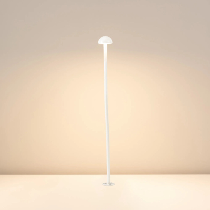 050672 Arlight