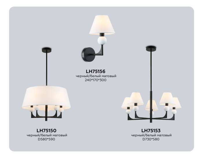 LH75153 Ambrella