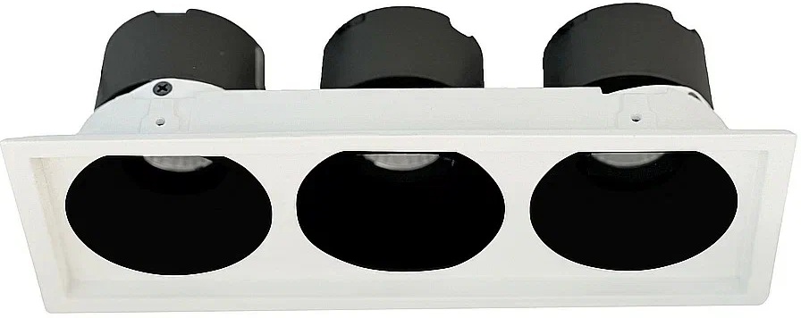 Точечный светильник Dorsum WTD.O21.060.30.30 Wertmark