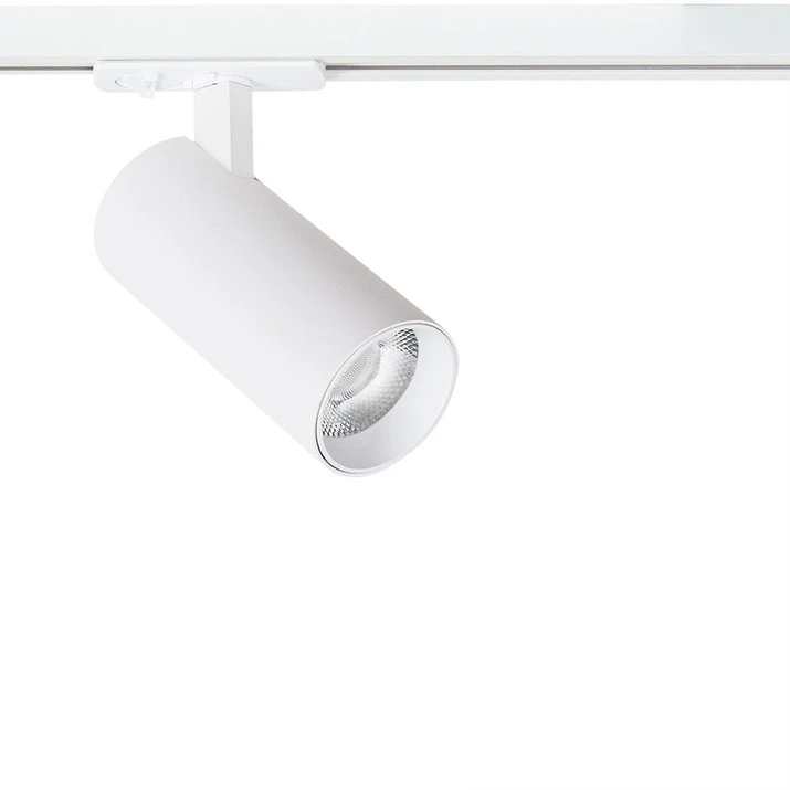 A1946PL-1WH Arte Lamp