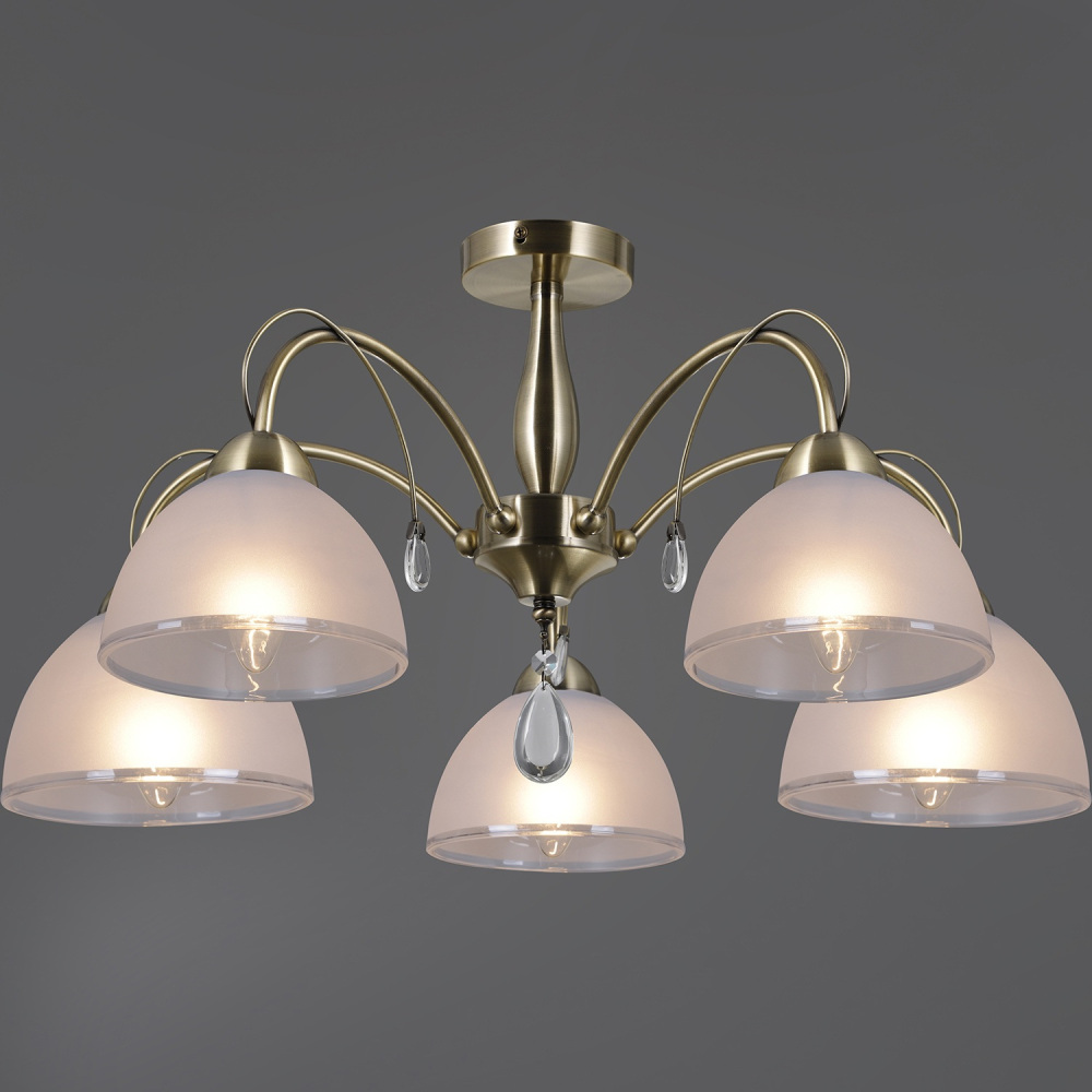 IL0506-5CSQ-25AB ELITE ILLUMICO