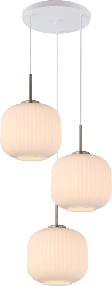 V11032-3P Moderli