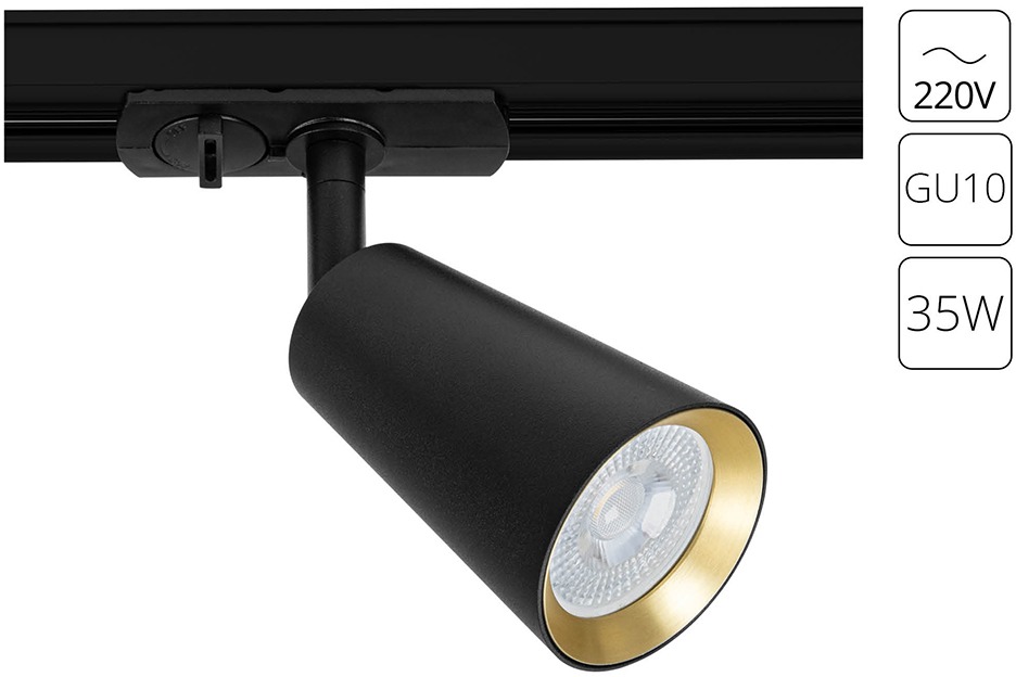 A2355PL-1BK Arte Lamp