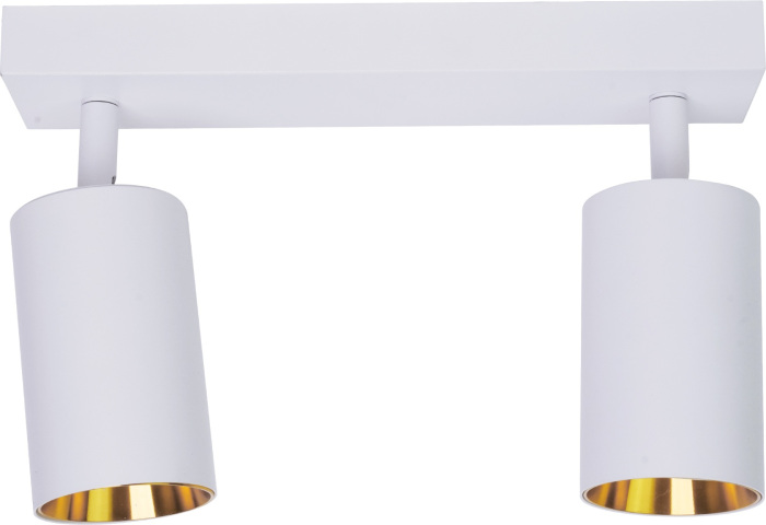 BR08084 Brizzi