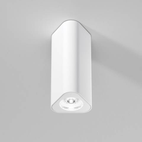 25110/LED Elektrostandard