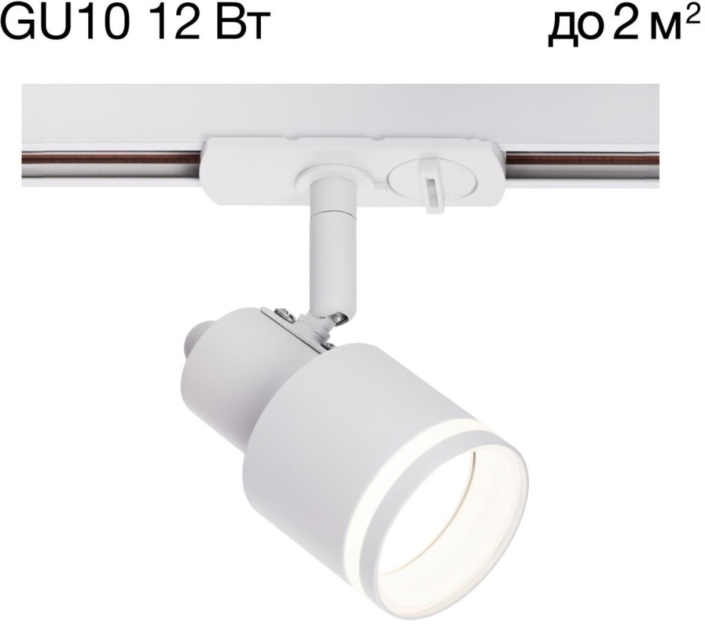 CL565T10 Citilux