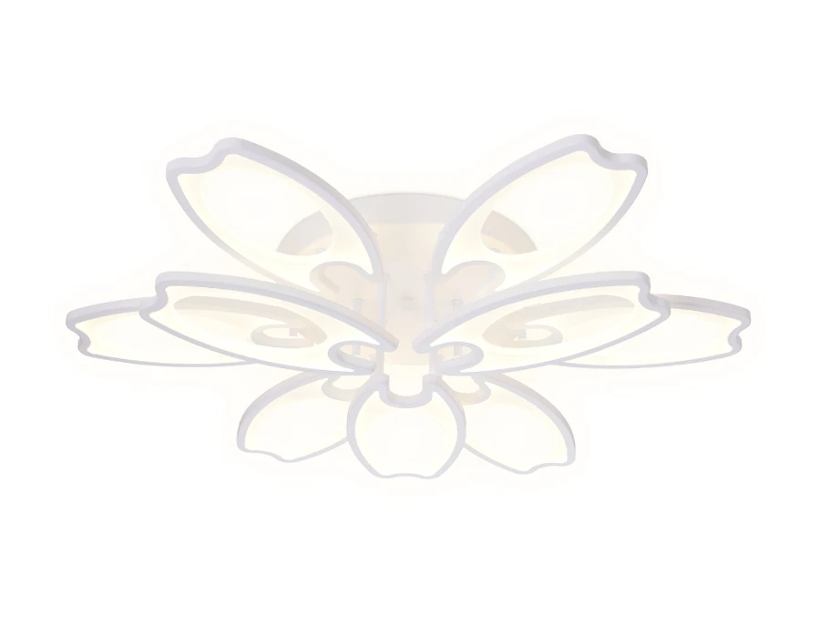 FA579 Ambrella