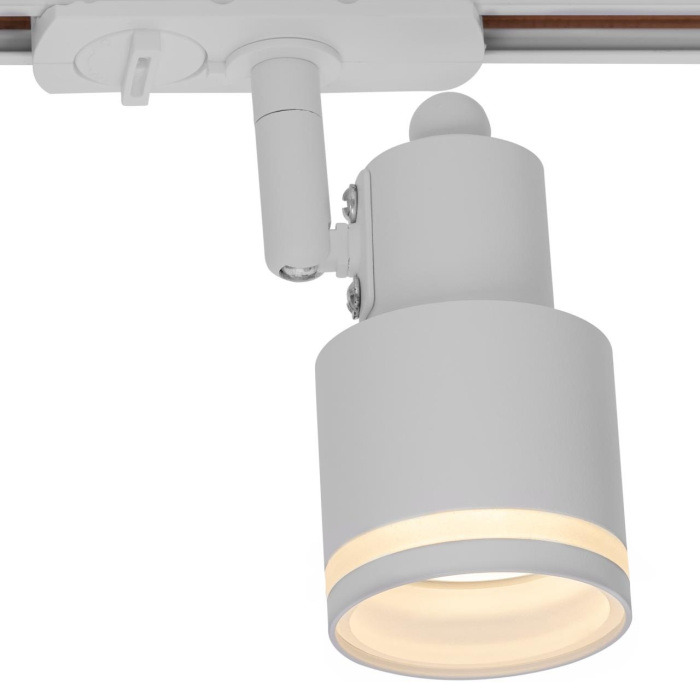 CL565T10 Citilux
