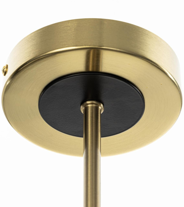 CL421253 Citilux