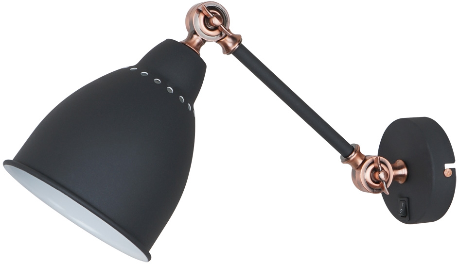 A2054AP-1BK Arte Lamp