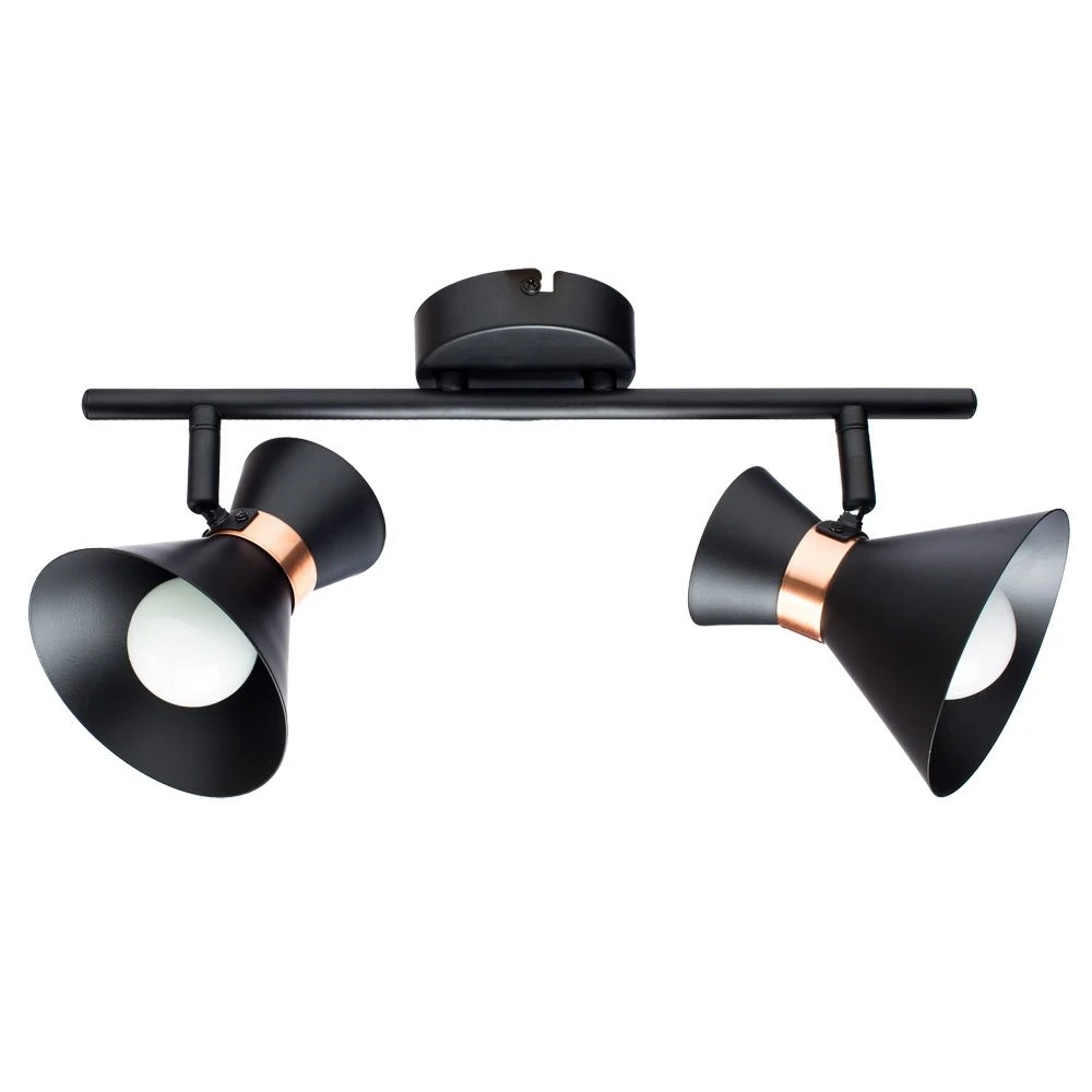 A1406AP-2BK Arte Lamp