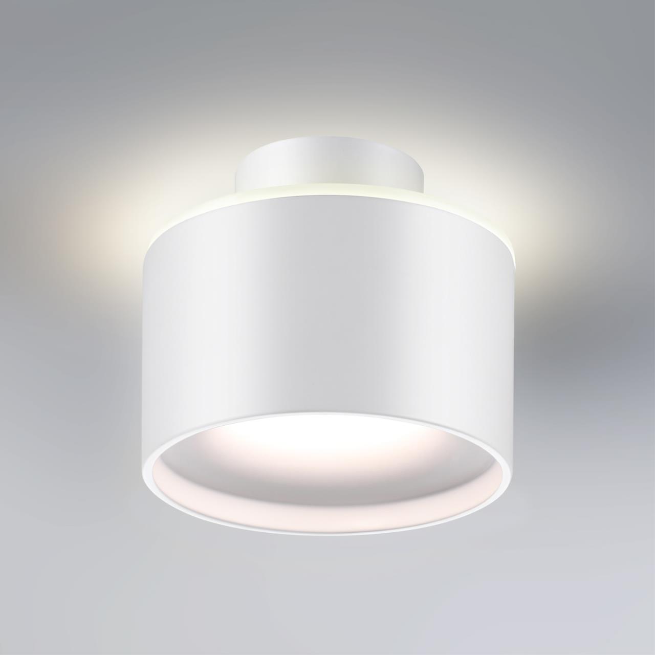 358970 Novotech
