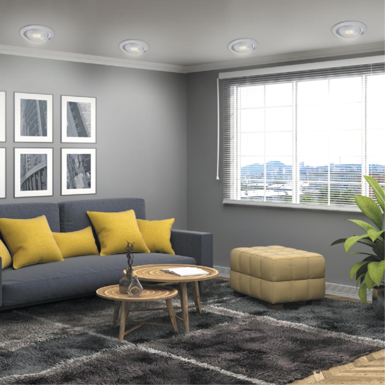 358001 Novotech