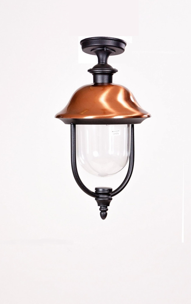 84305cA Bl Oasis Light