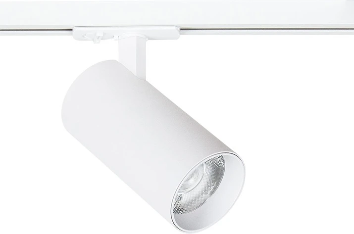 A1937PL-1WH Arte Lamp