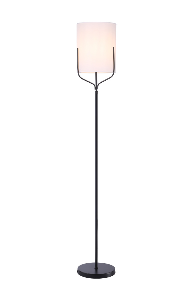 V11852-1F Moderli