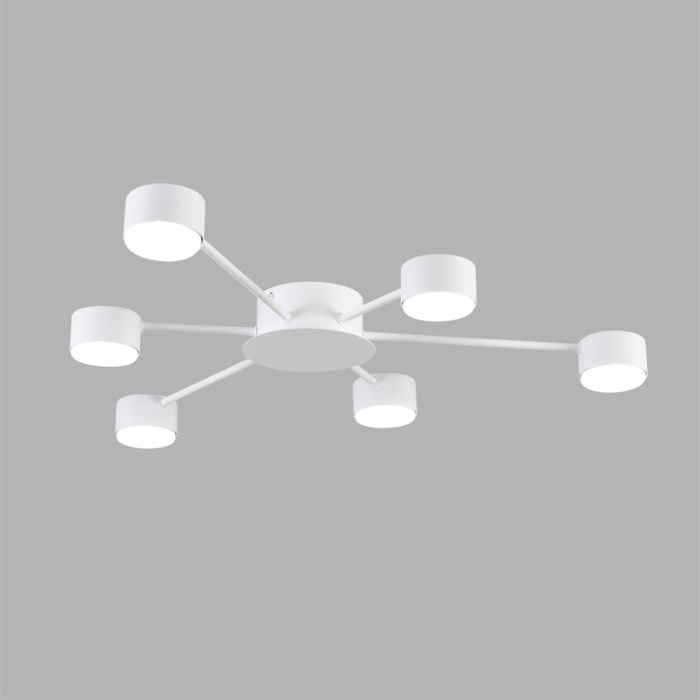 8343/6C Lumion