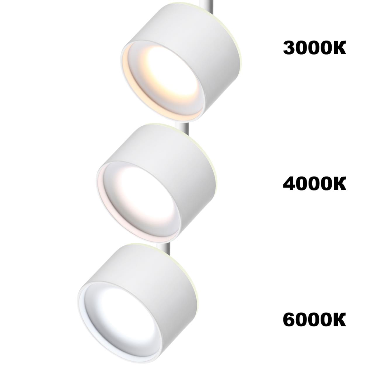 358979 Novotech