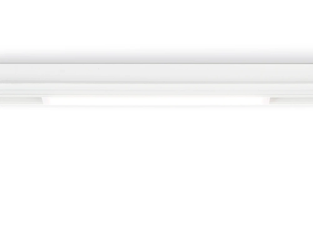 GL1655 Ambrella
