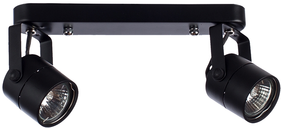 A1311PL-2BK Arte Lamp