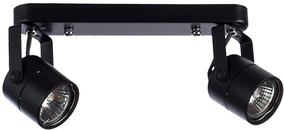 A1311PL-2BK Arte Lamp