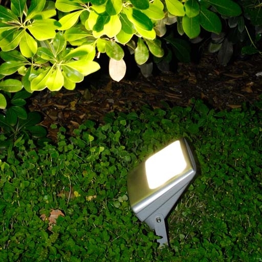 W6170-SP S Oasis Light