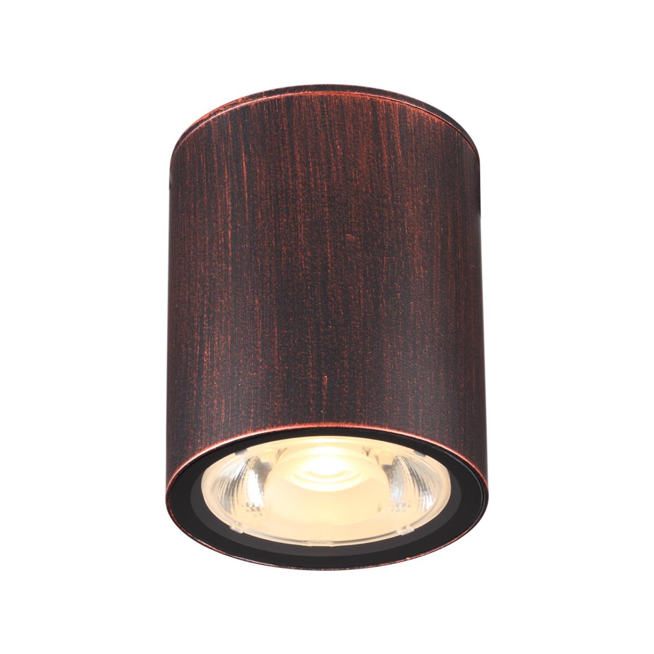 358013 Novotech