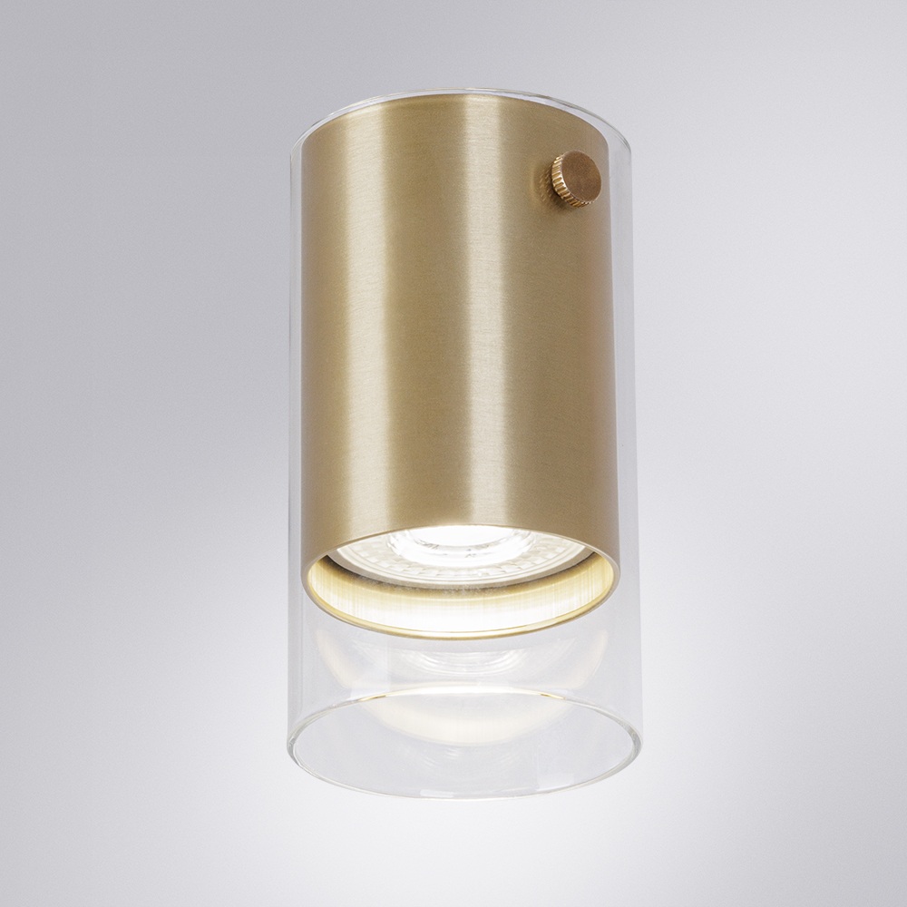 A5365PL-1SG Arte Lamp