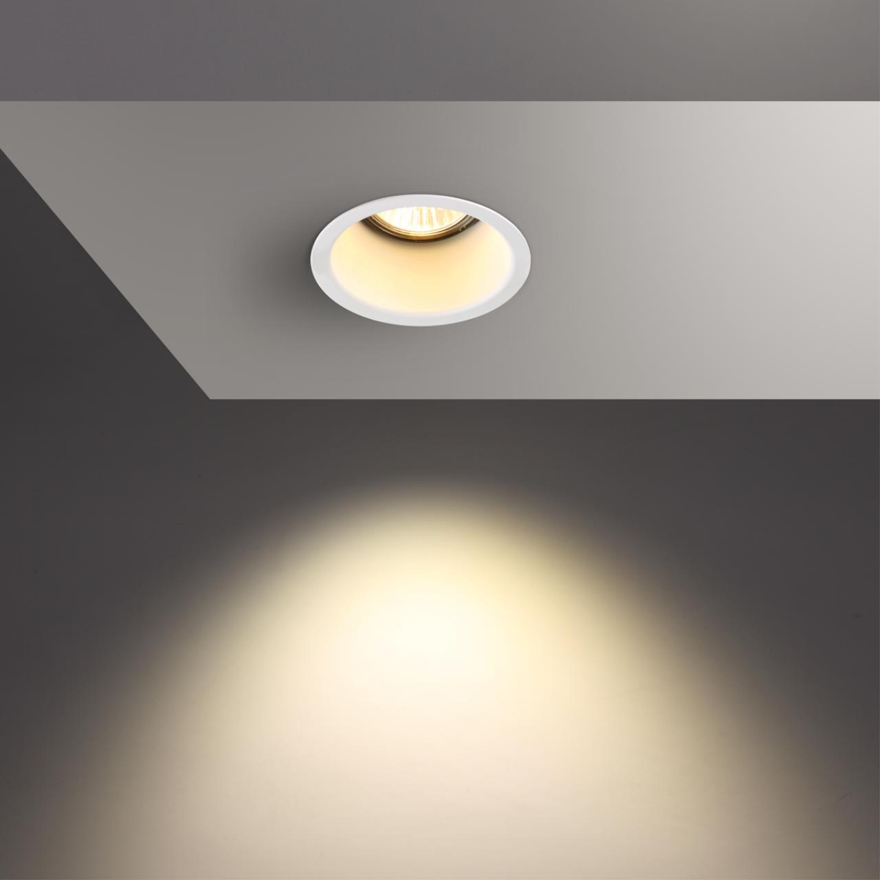 370446 Novotech
