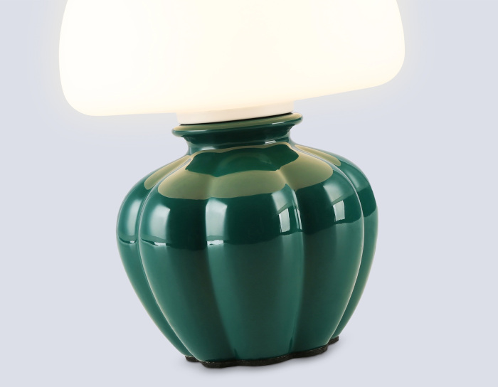 LH53249 Ambrella