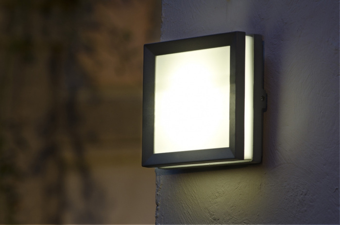 W3342 Gr Oasis Light