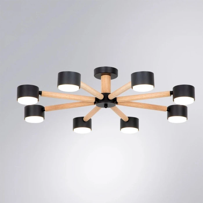 A1624PL-8BK Arte Lamp