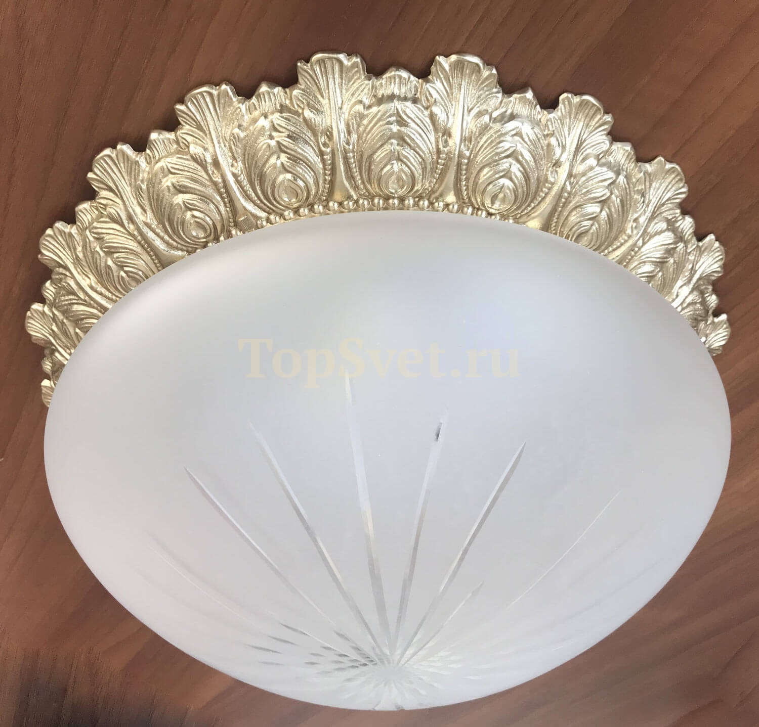 0590/2 CHAMPAGNE Nervilamp