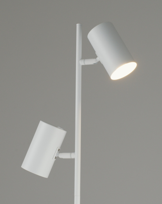 V11331-2F Moderli
