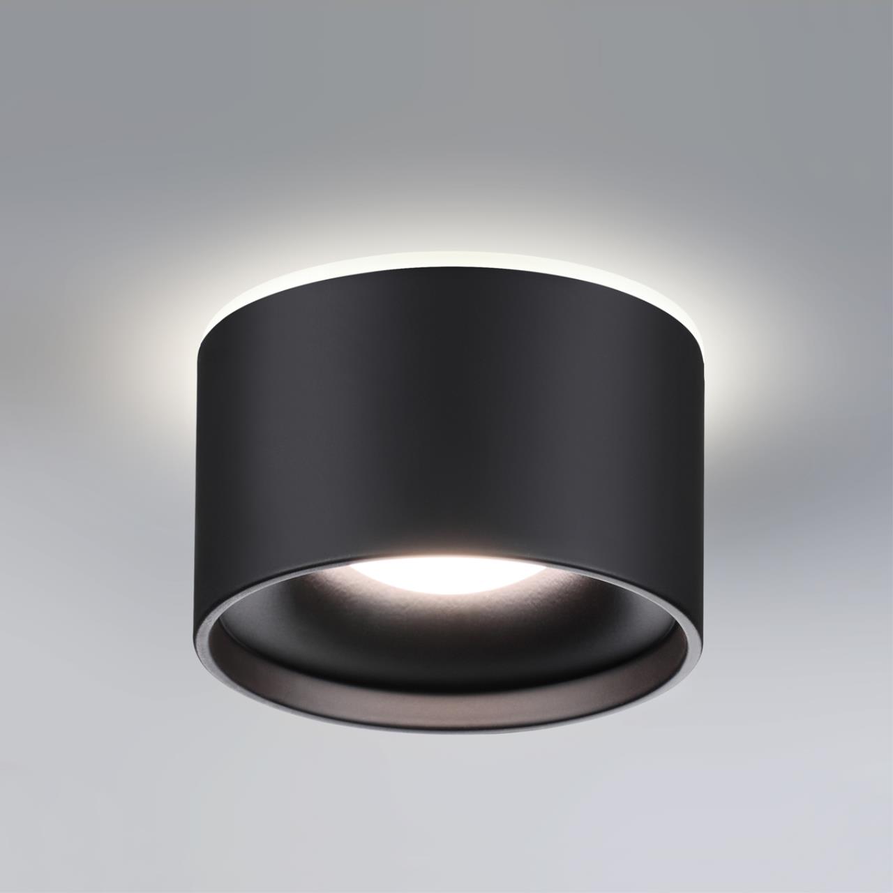 358962 Novotech