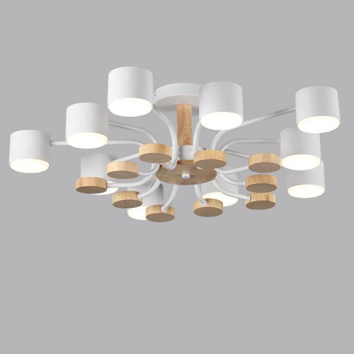 8196/10C Lumion