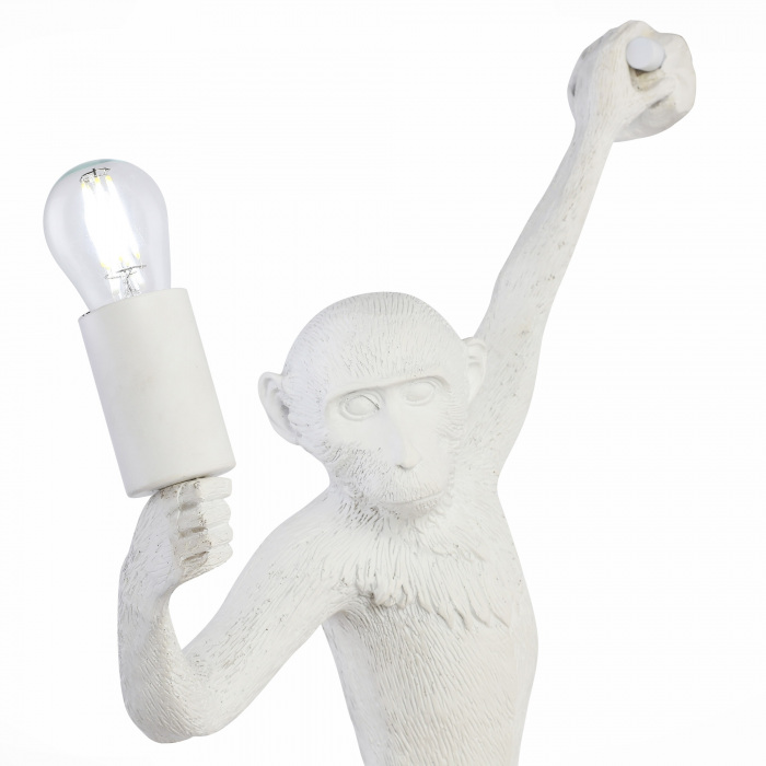 SLE115111-01 ST Luce