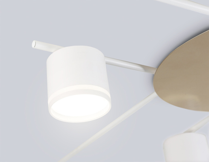 FL51759 Ambrella