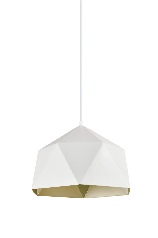 V11560-1P Moderli