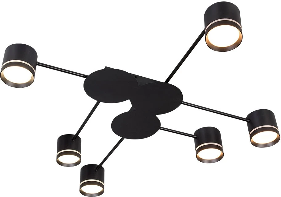 A8024PL-6BK Arte Lamp